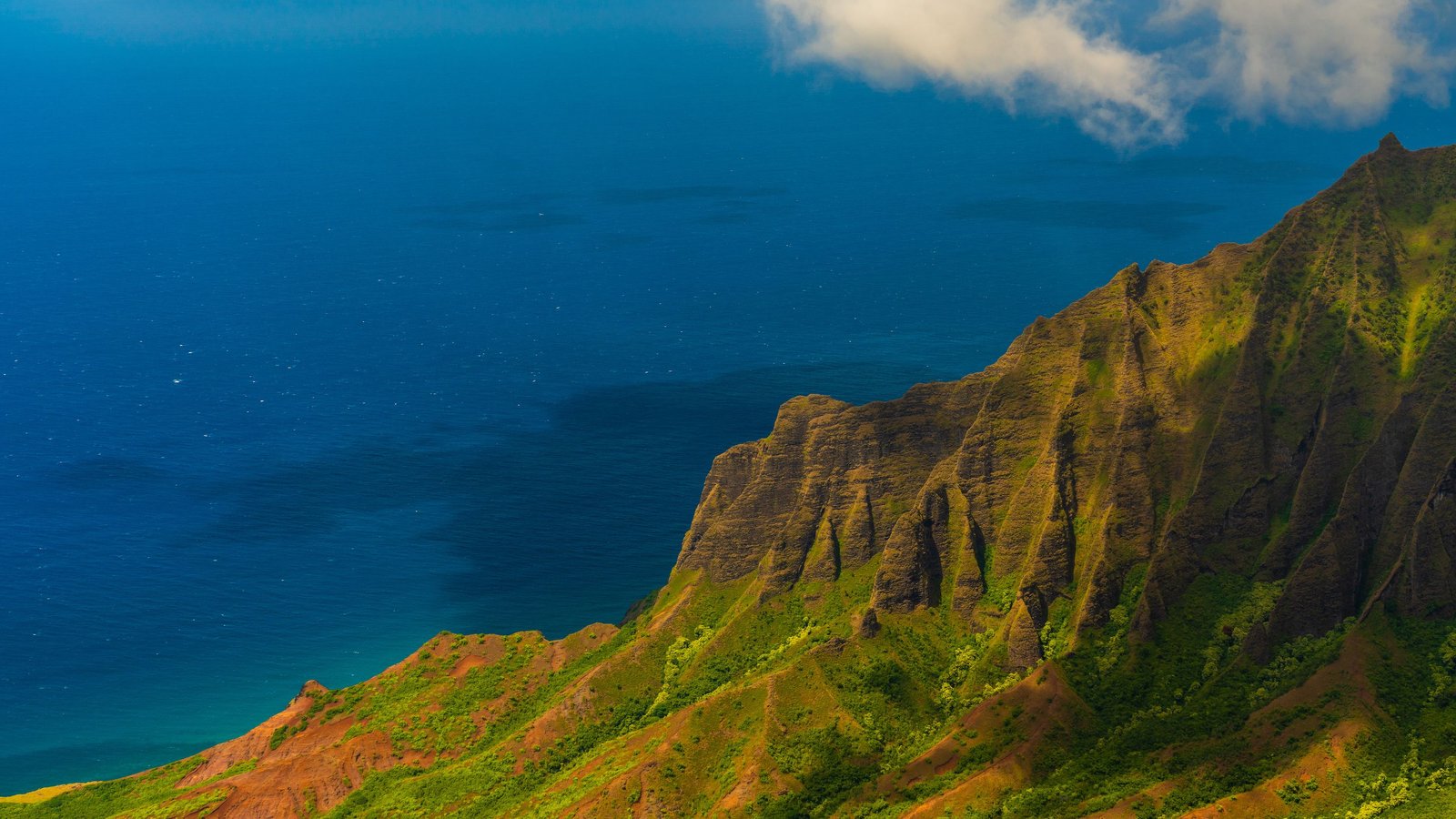 KĀʻEO Benefits